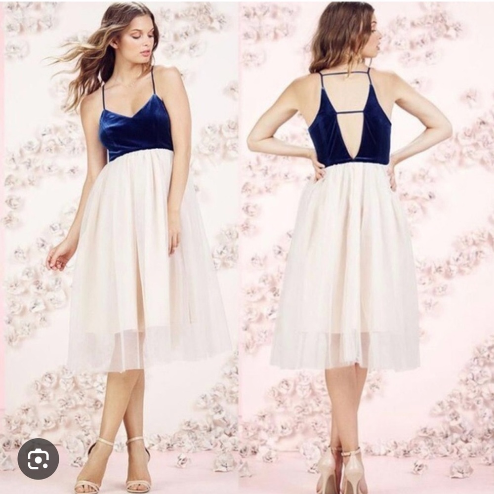 Elegant Blue and White Women's Dress - Lauren Conrad
